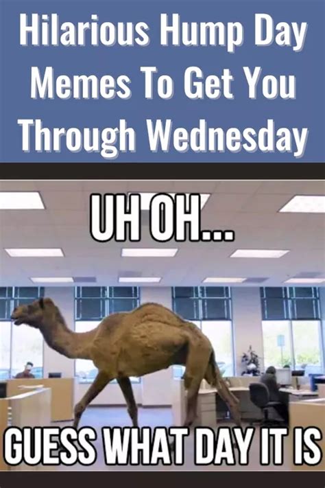 35 Hump Day Memes to Laugh Through Wednesday